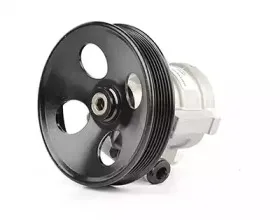 Гидравлический насос, рулевое управление BSG купить